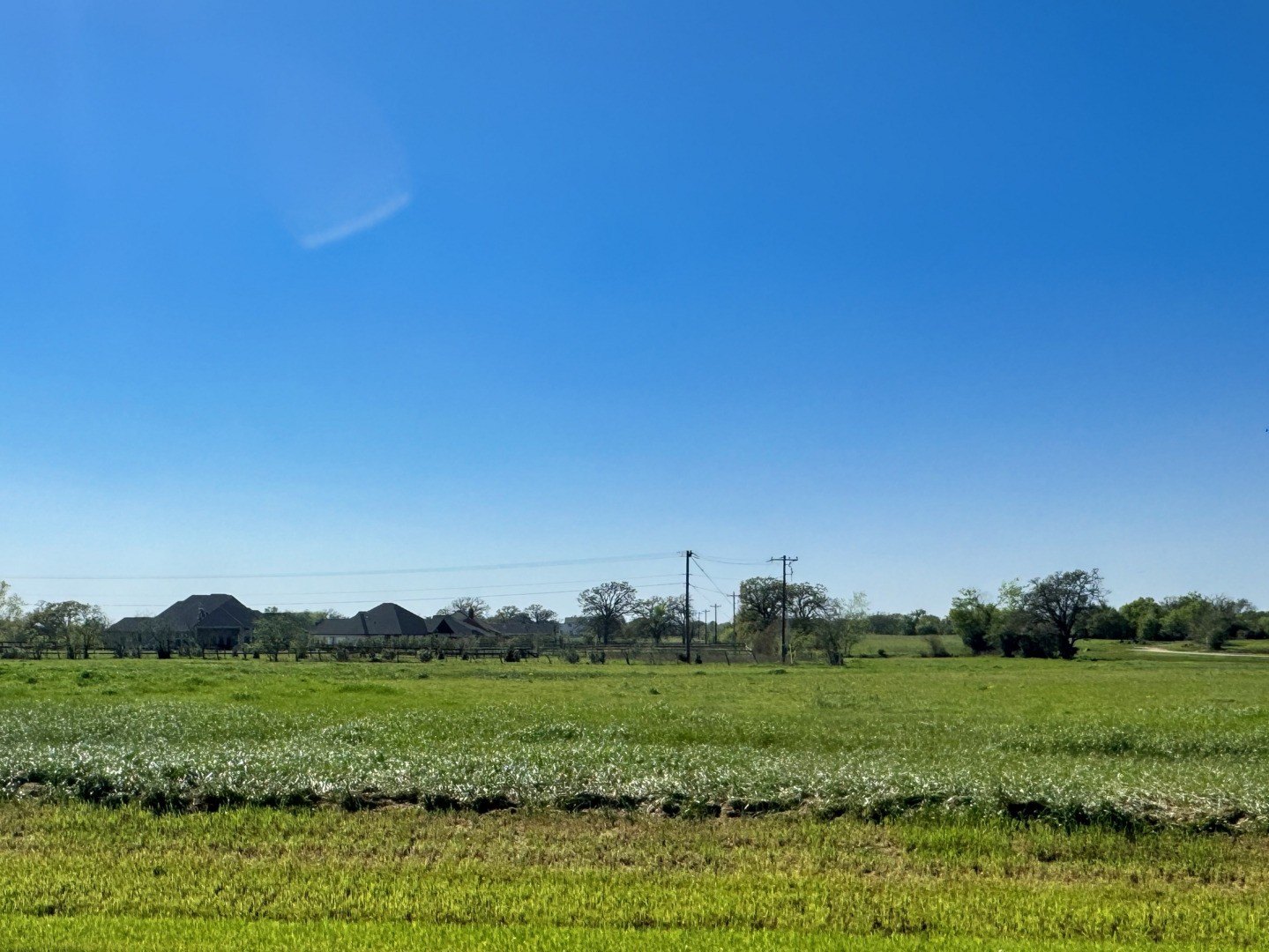 Land in Iola, Texas