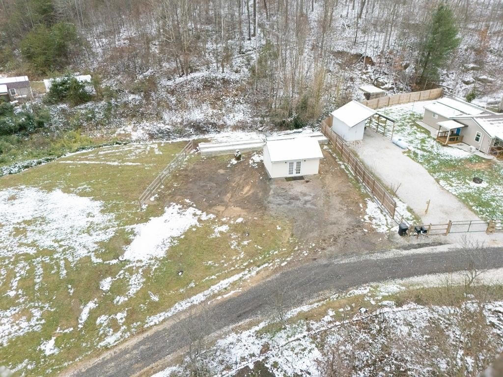 Picture 11