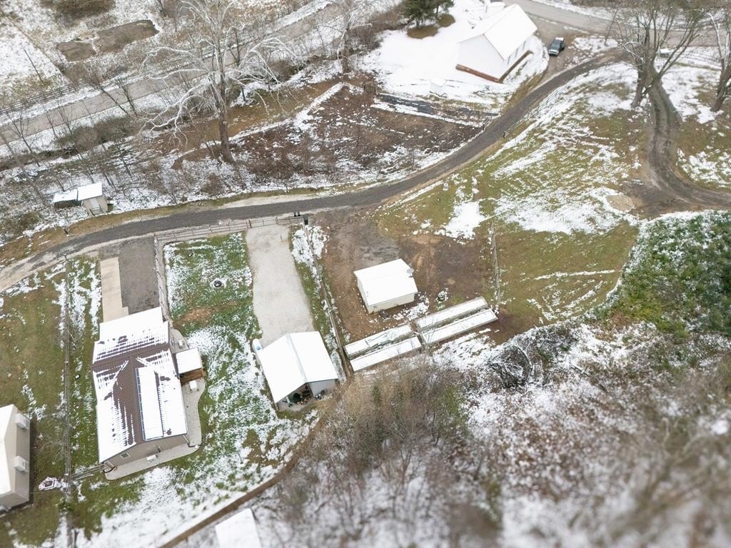 Picture 19