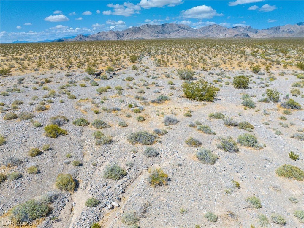 Picture 29