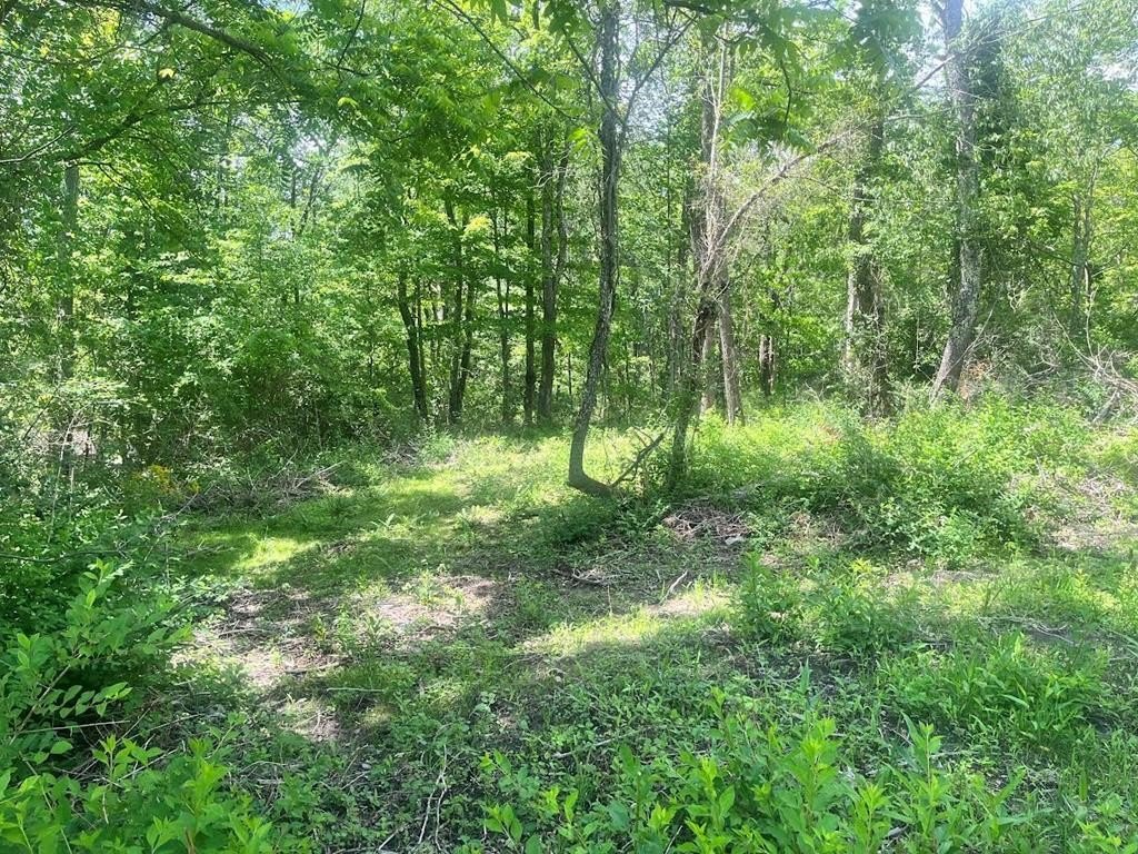 Picture 2