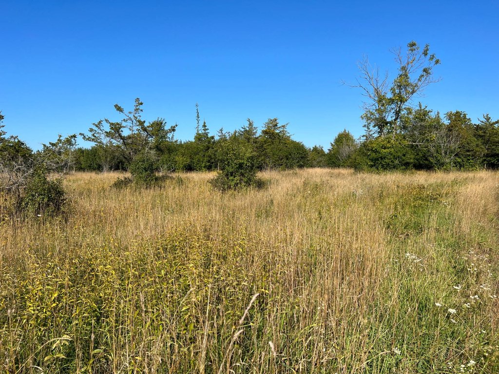 Picture 22