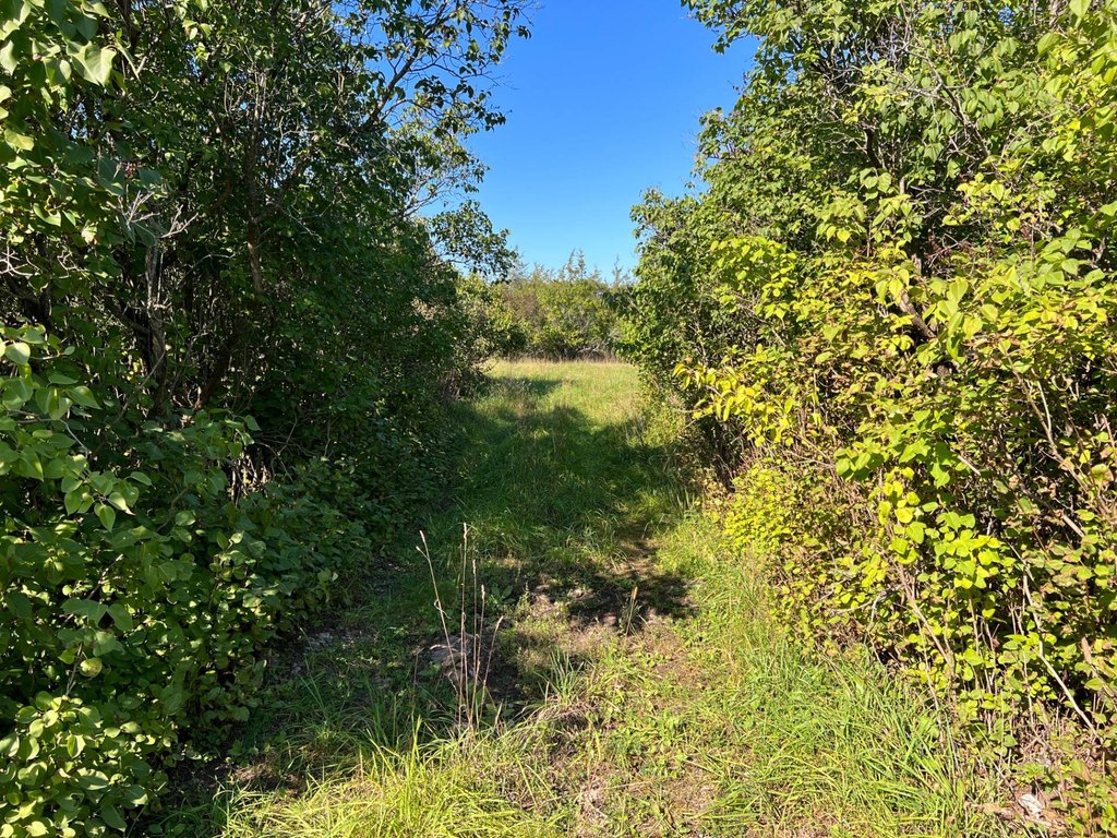 Picture 21