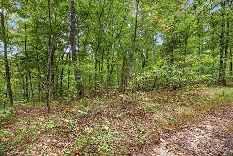 Land, Celina, TN