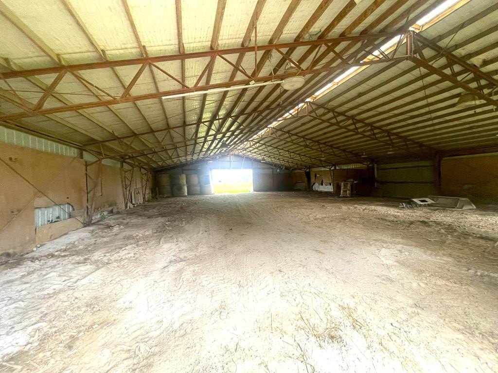 Picture 6