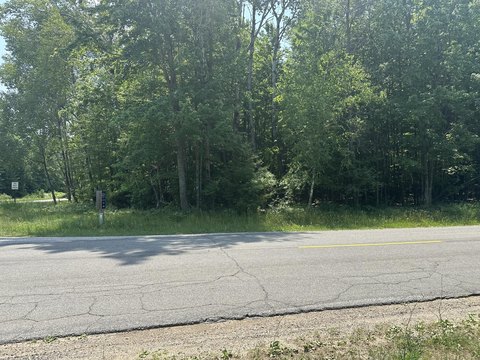 Land Parcel in Branch, MI