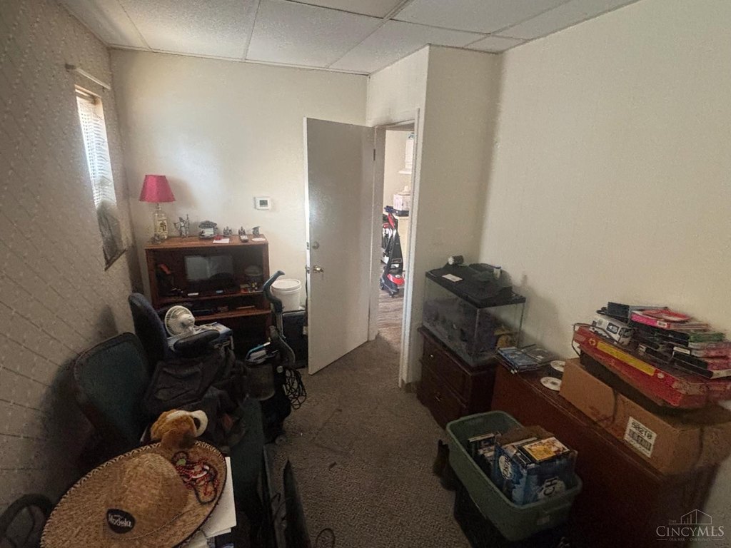 Picture 37