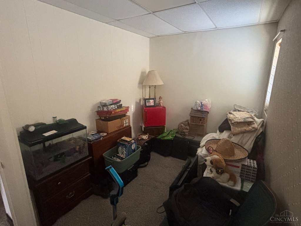 Picture 36