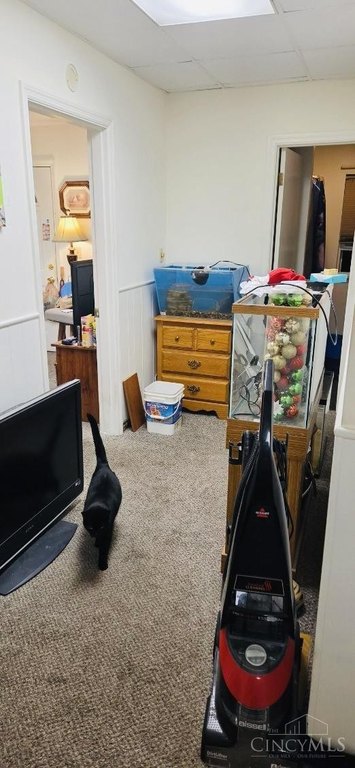 Picture 20