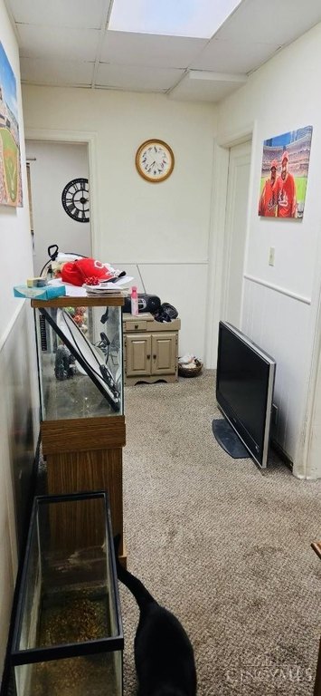 Picture 21