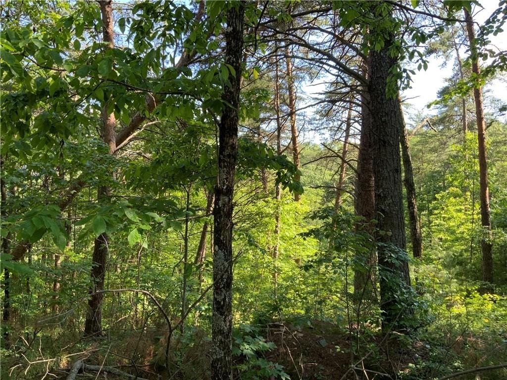 Mountain Lot in Gated Community