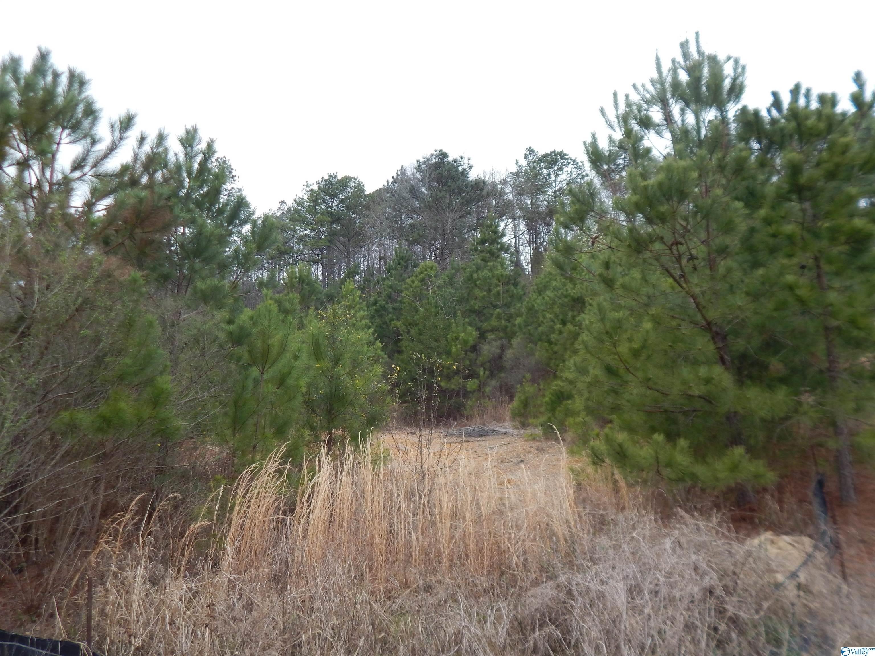 Recreational Land with Conservation Easement