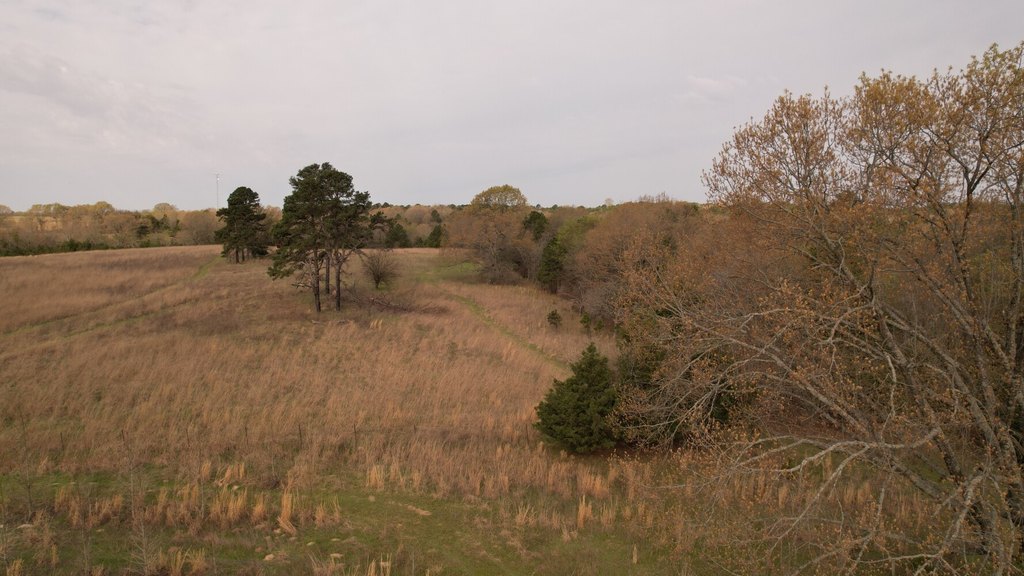 Picture 50