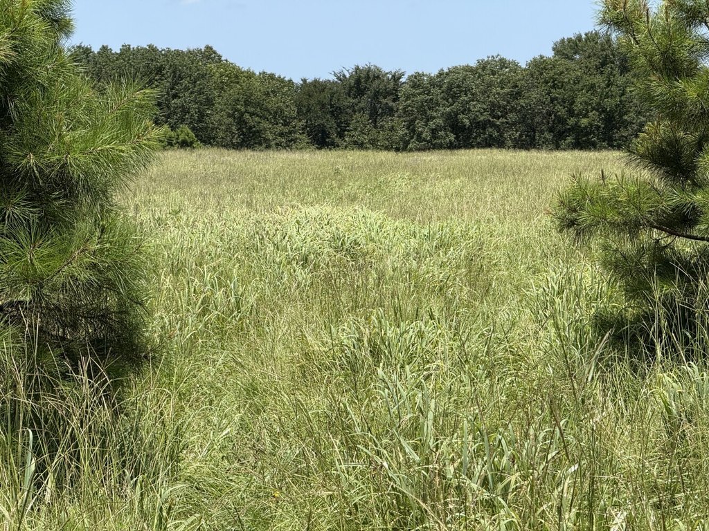Picture 43
