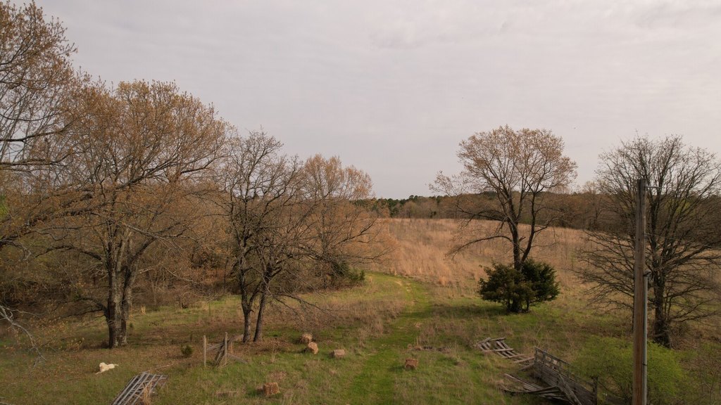 Picture 49
