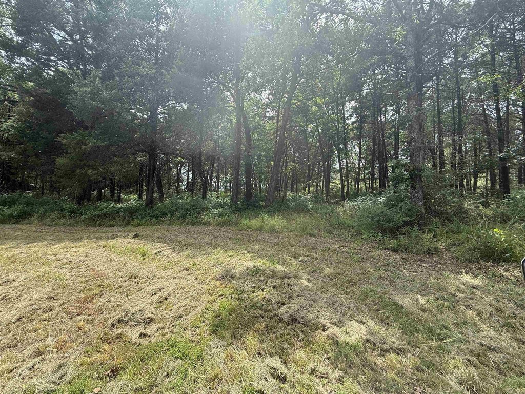 Picture 4