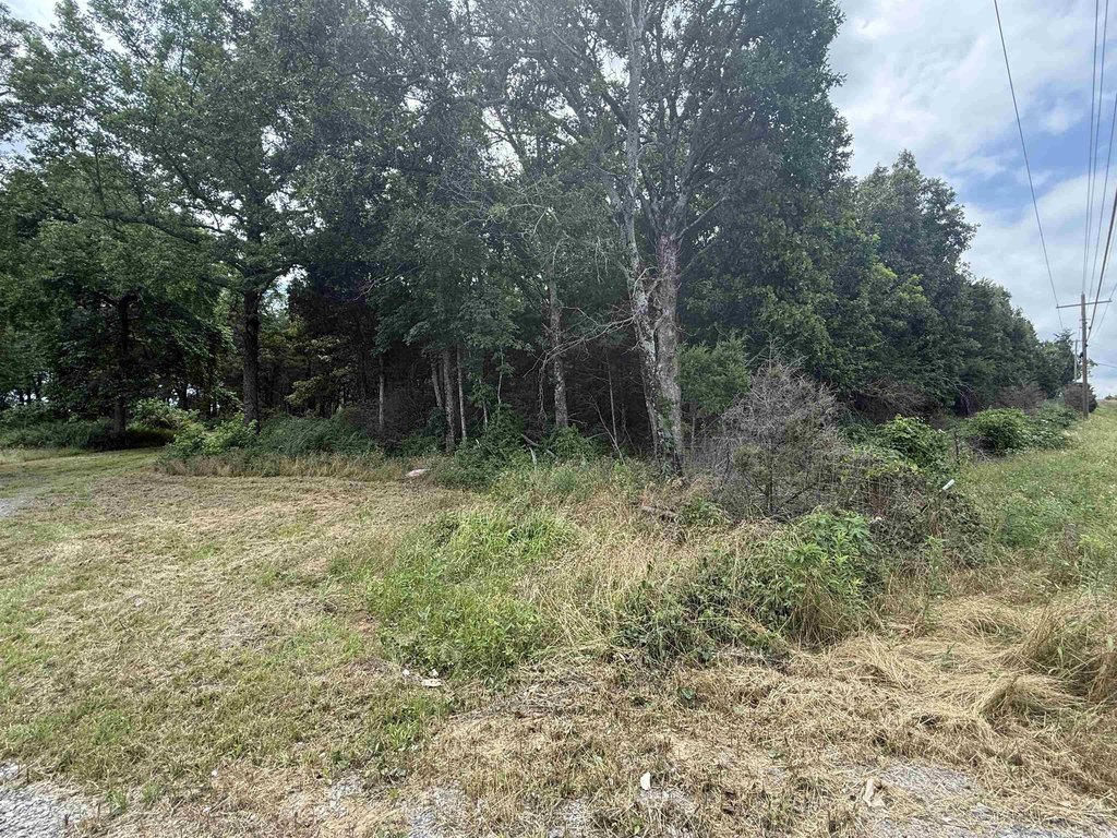 Picture 11