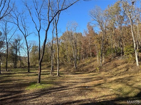 LAND - Dixon, MO
