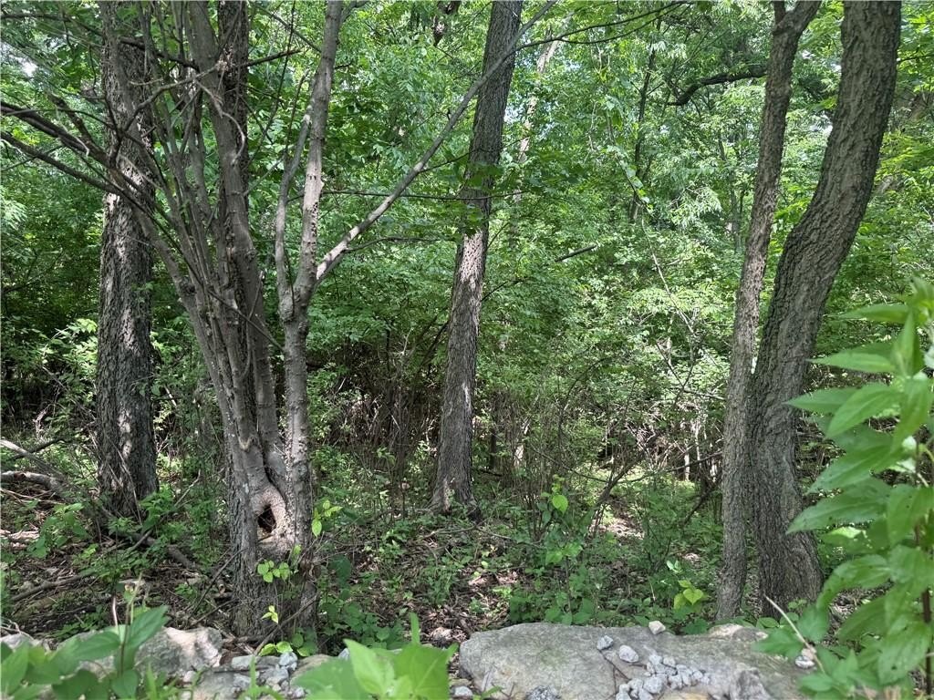 Picture 18