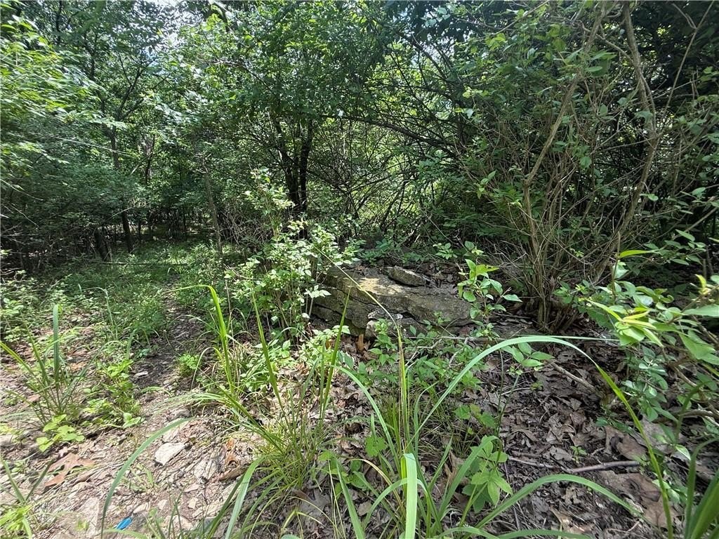 Picture 11