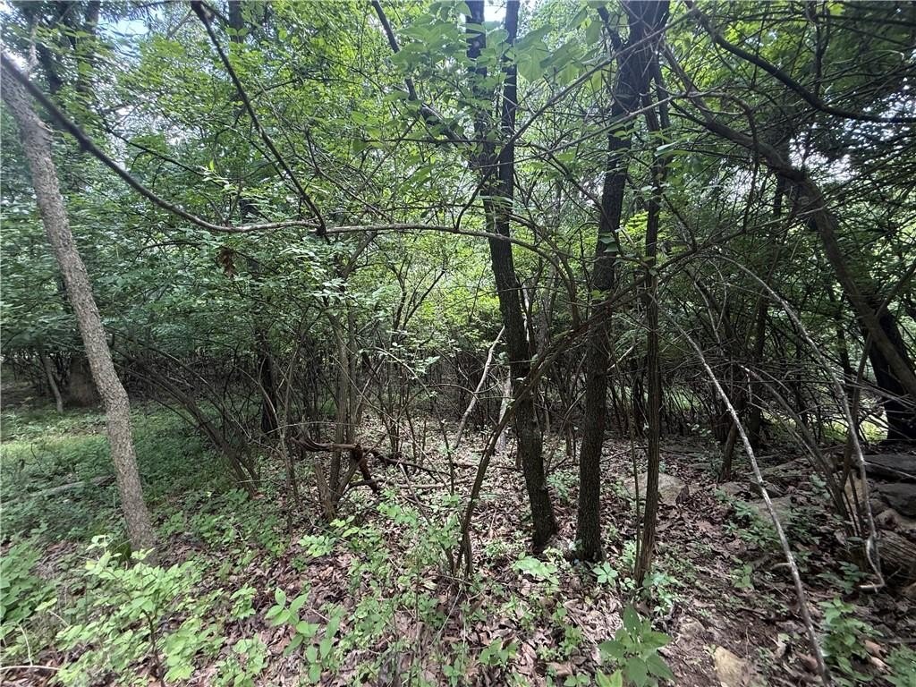 Picture 12