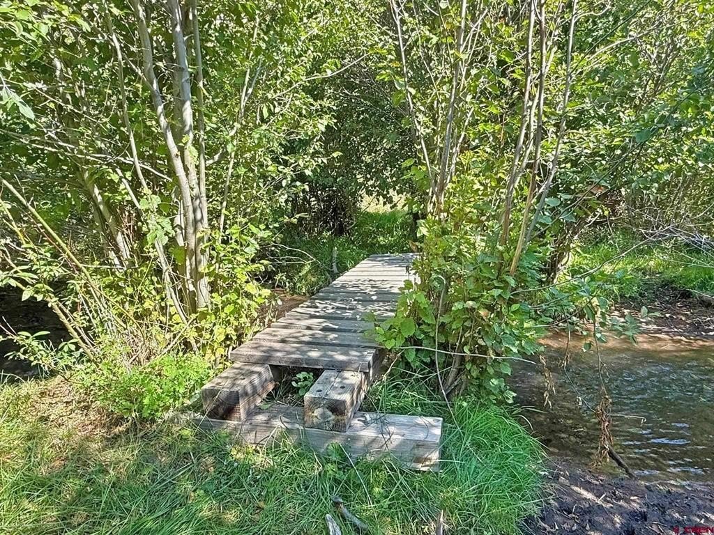 Picture 12