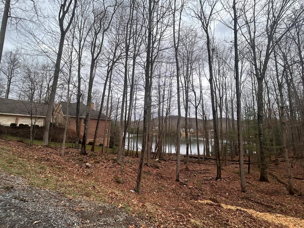 Picture 8