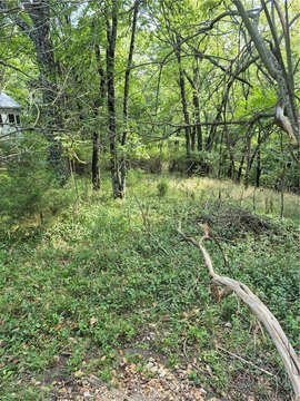 Eureka Springs Wooded Lots