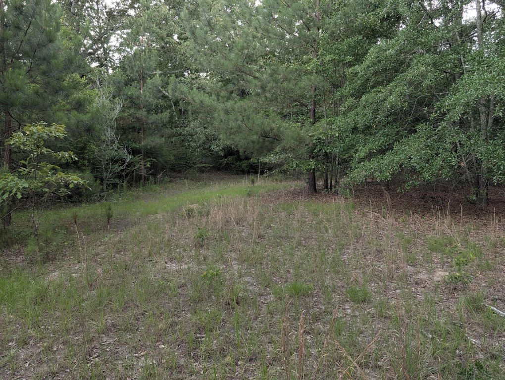 Picture 9