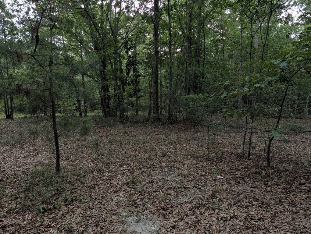 Picture 12