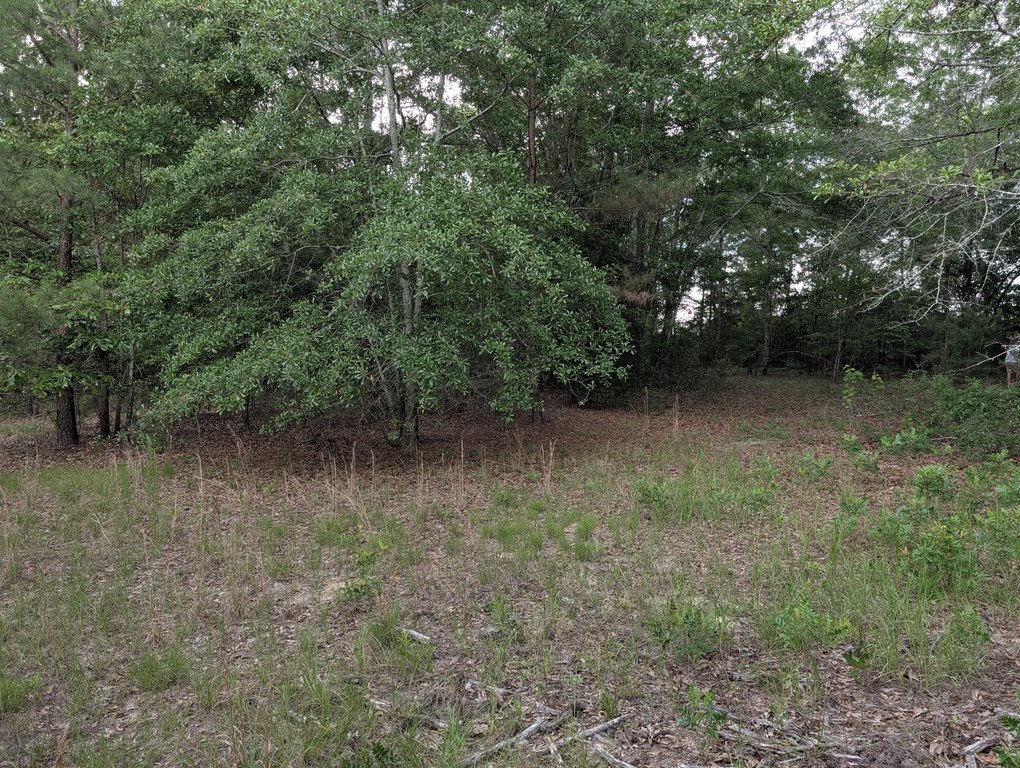 Picture 10