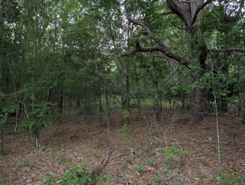 Picture 13