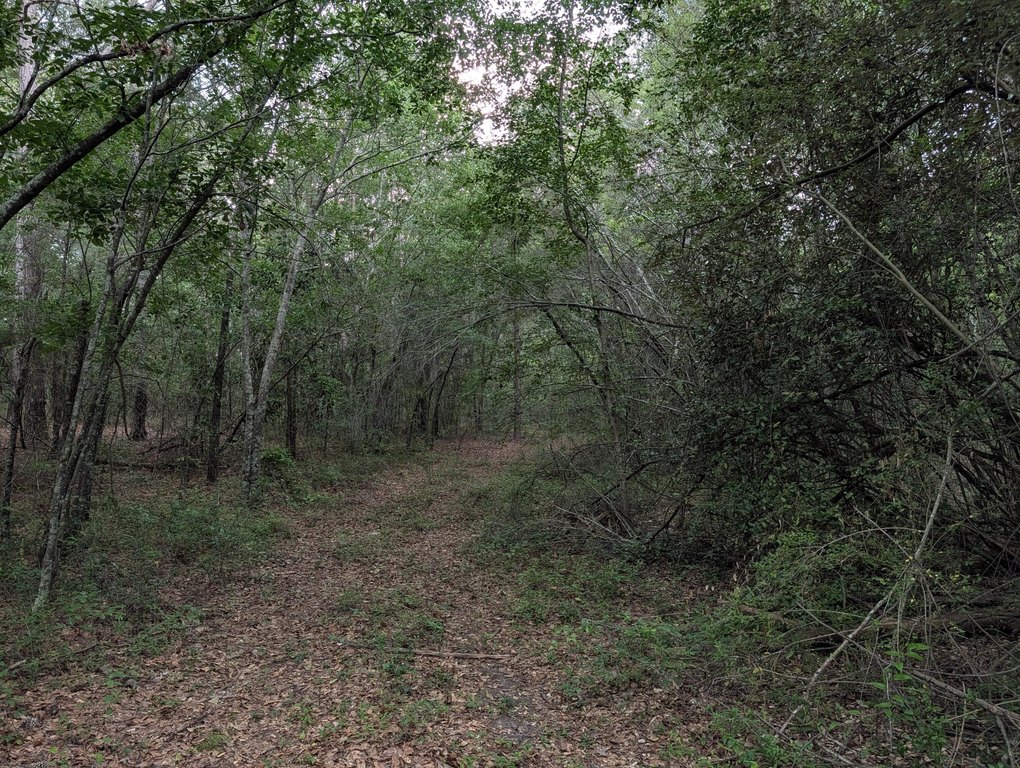Picture 3