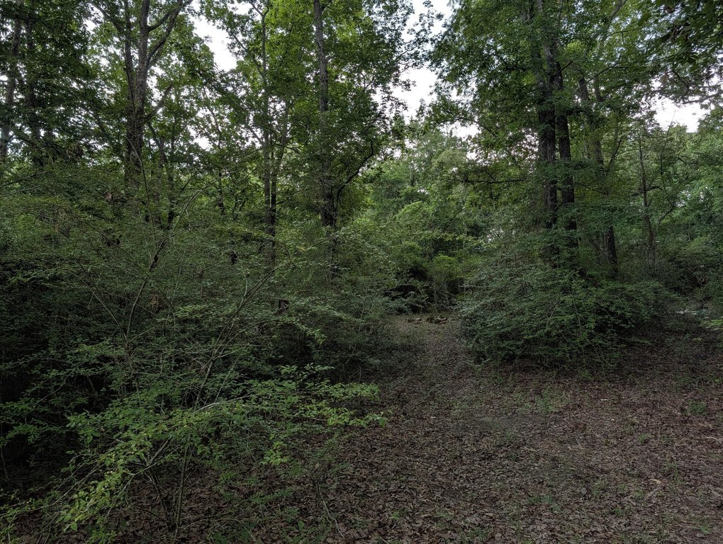 Picture 11