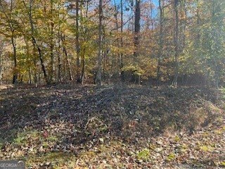 7.5 Acres of Hardwood Forest