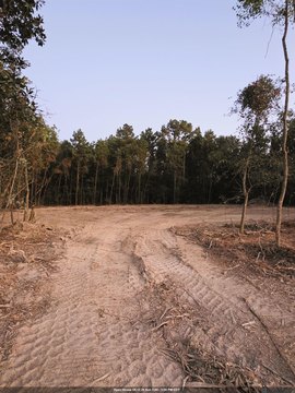 2 Acre Residential Land Tract