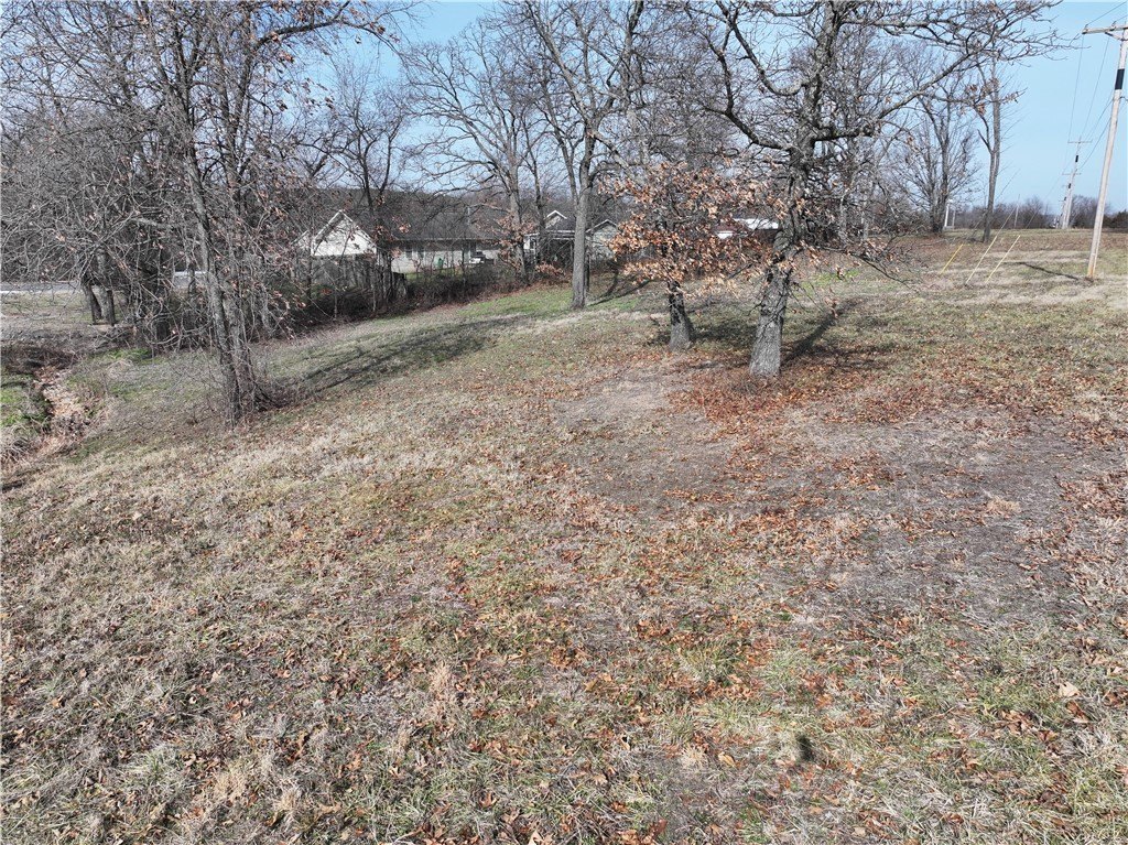 Picture 7