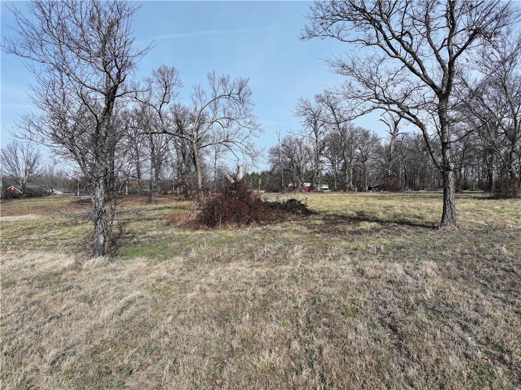 Picture 11