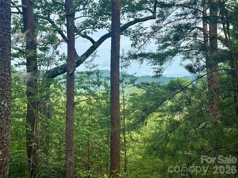 LAND - Bostic, NC