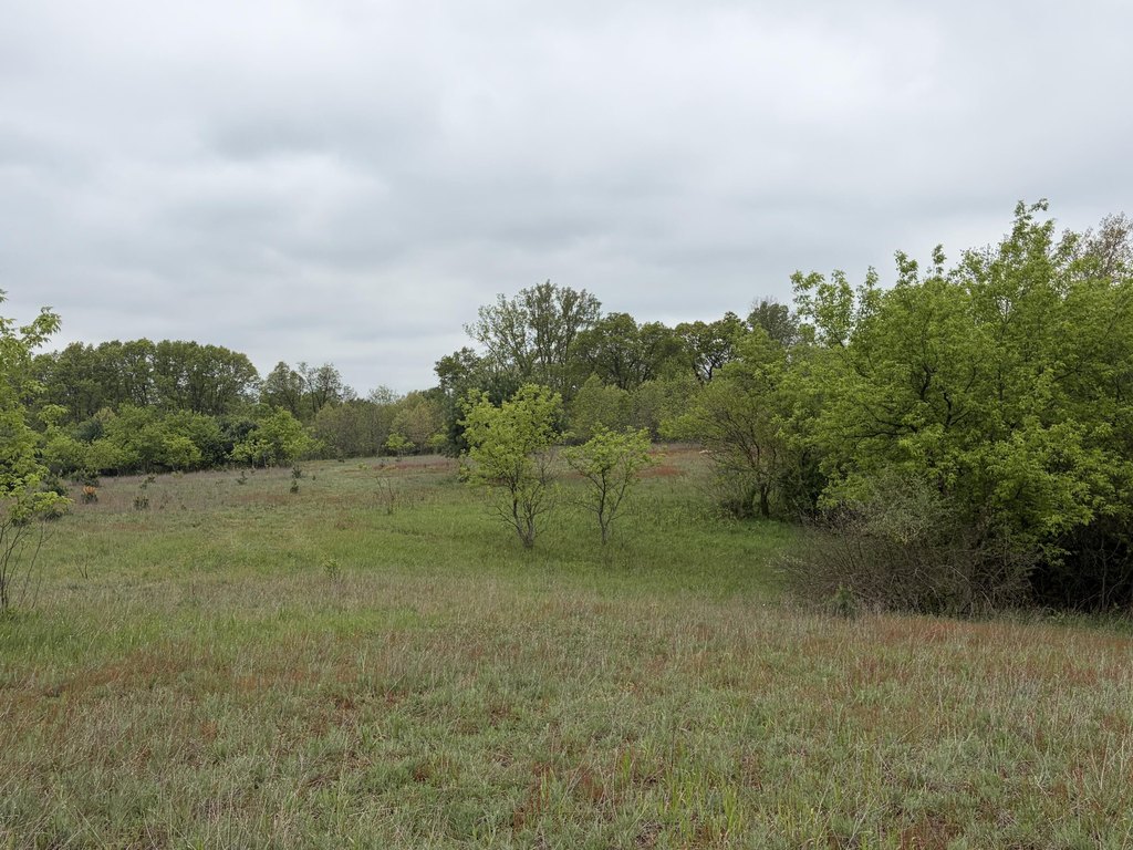 Picture 7