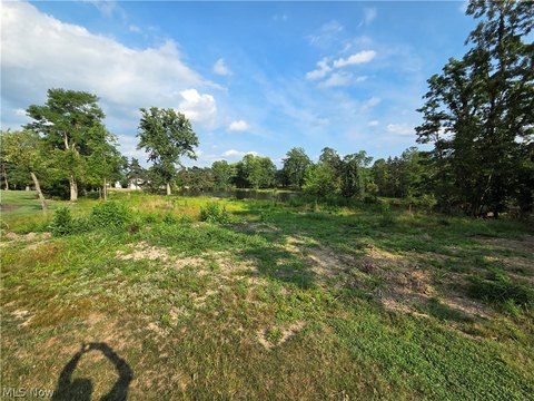 Land, Medina, OH