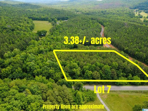 LAND/LOTS, ODENVILLE, AL