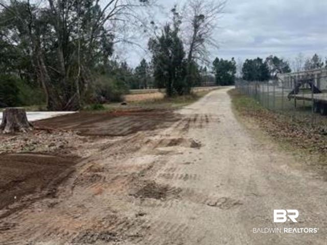 Picture 41