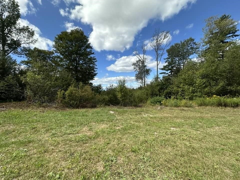 Picture 15