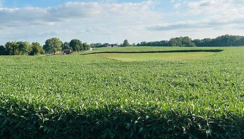 Campbellsville Vacant Land For Sale