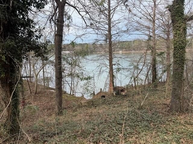 Lakefront Lot in Abbeville, AL