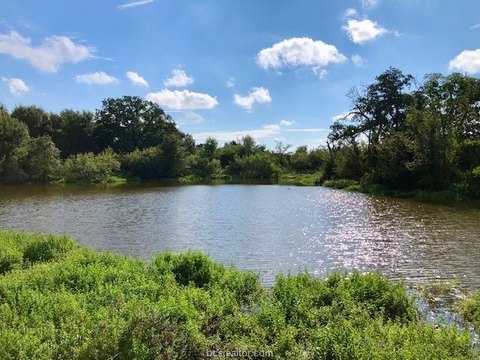 45 Acres in Burleson County