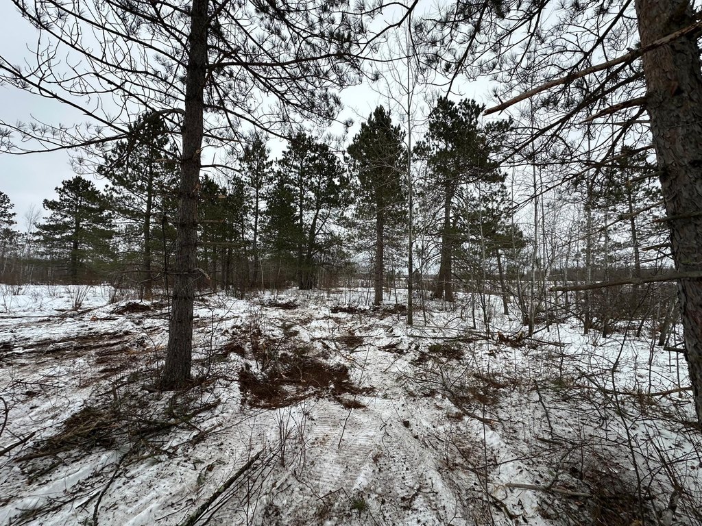 Picture 7