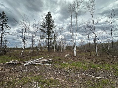Recreational Hunting Land Parcel