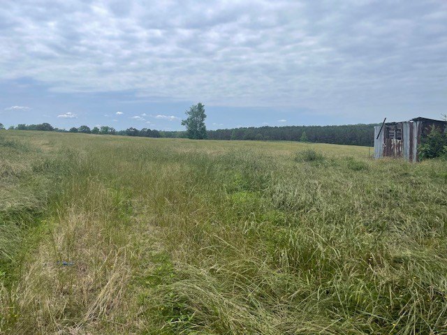Picture 8